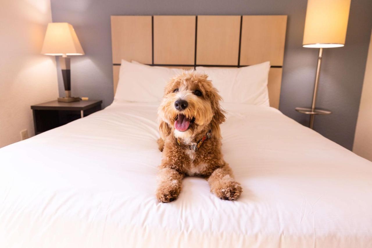 Sonesta Simply Hotel Hampton